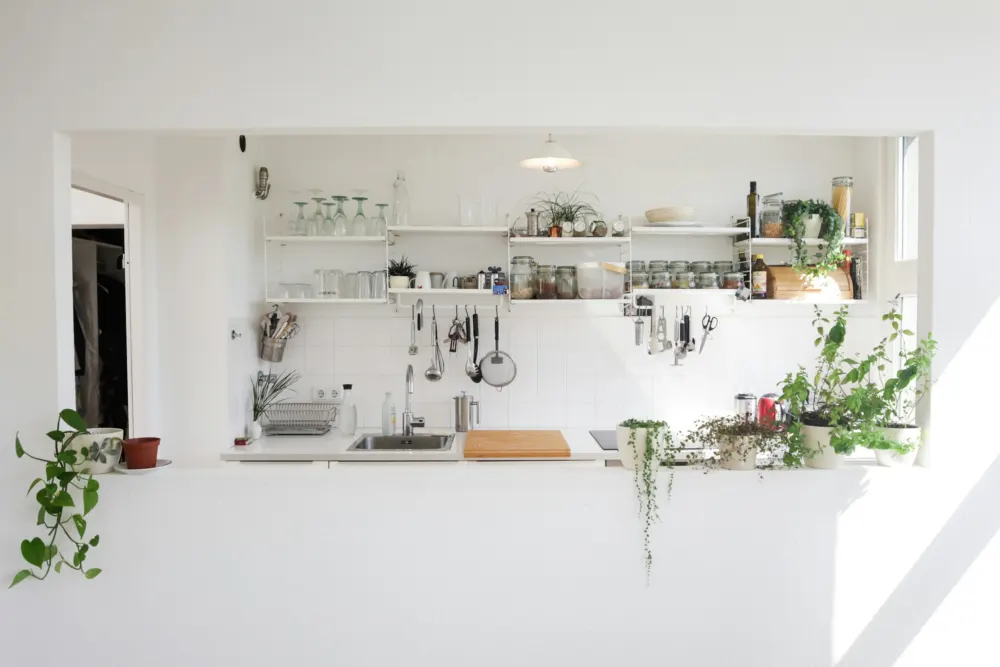 Kitchen shelves
