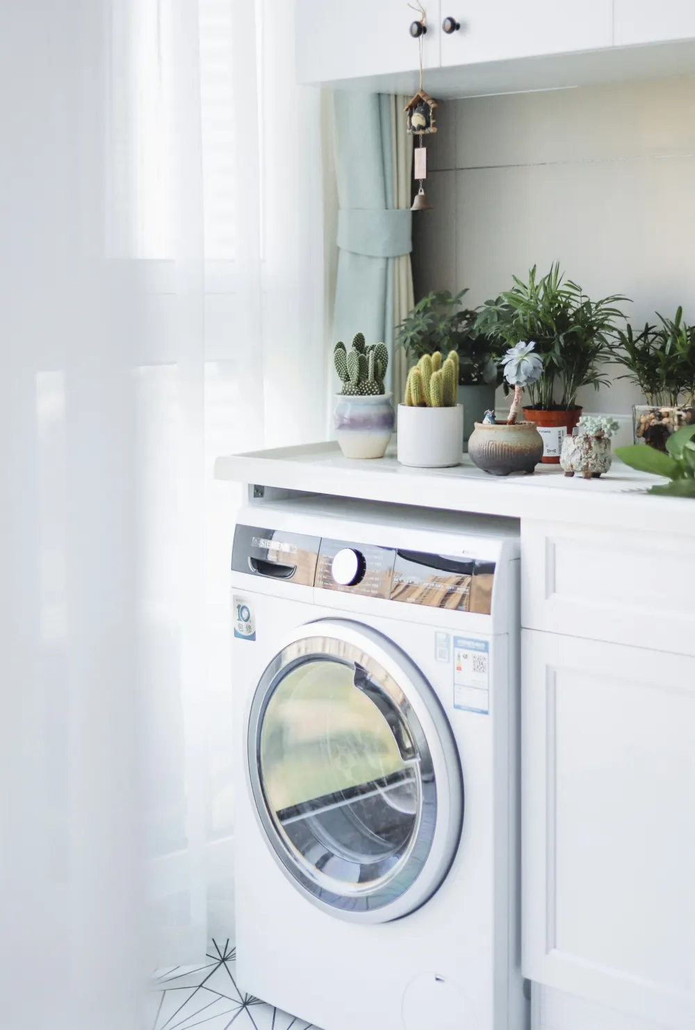 Laundry plants