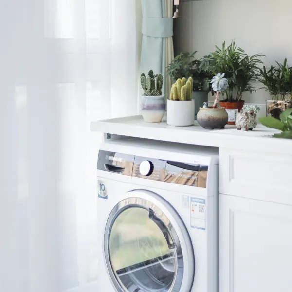 Laundry plants