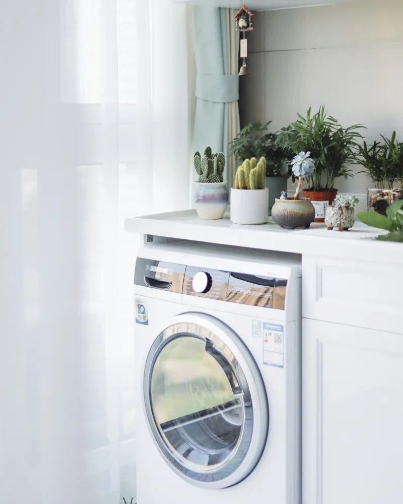 Laundry plants