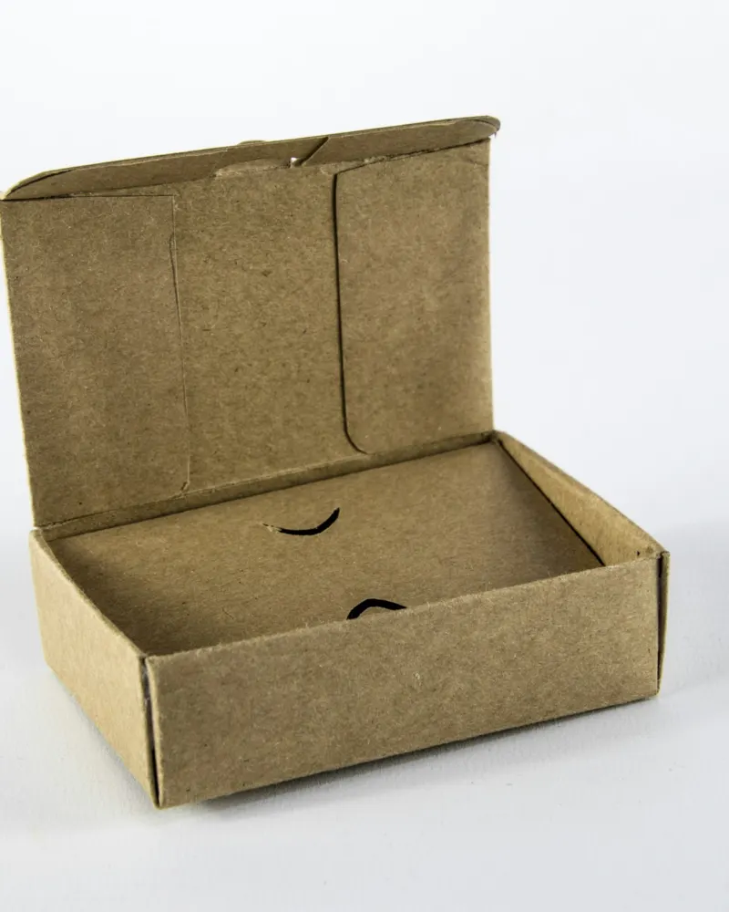 Open kraft cardboard box